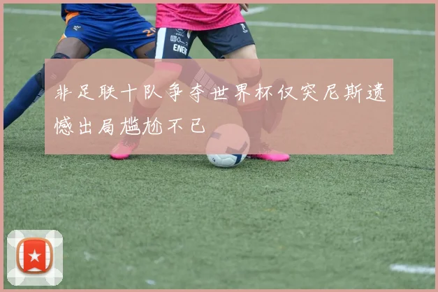非足联十队争夺世界杯仅突尼斯遗憾出局尴尬不已
